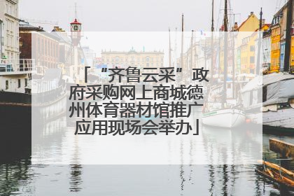 “齐鲁云采”政府采购网上商城德州体育器材馆推广应用现场会举办