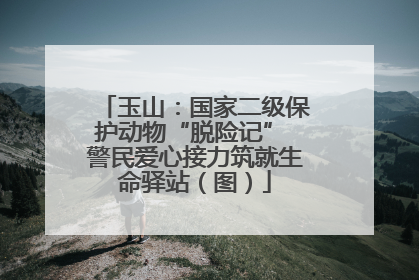 玉山：国家二级保护动物“脱险记” 警民爱心接力筑就生命驿站（图）