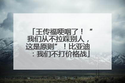 王传福哽咽了！“我们从不拉踩别人，这是原则”！比亚迪：我们不打价格战