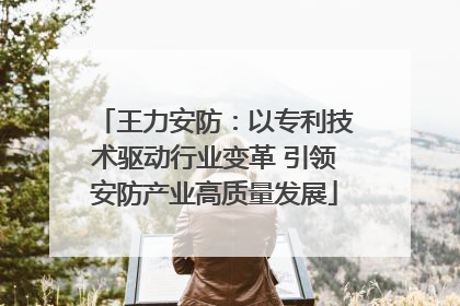 王力安防：以专利技术驱动行业变革 引领安防产业高质量发展