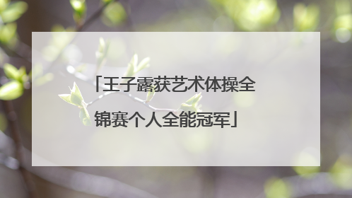 王子露获艺术体操全锦赛个人全能冠军