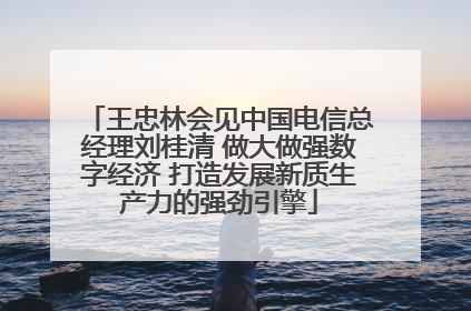 王忠林会见中国电信总经理刘桂清 做大做强数字经济 打造发展新质生产力的强劲引擎