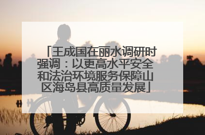 王成国在丽水调研时强调：以更高水平安全和法治环境服务保障山区海岛县高质量发展