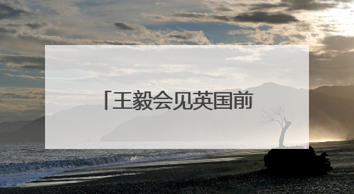 王毅会见英国前首相布莱尔：中英应体现责任担当