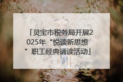 灵宝市税务局开展2025年“悦读新思想”职工经典诵读活动