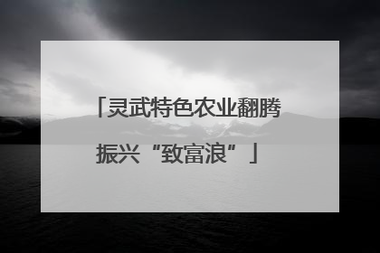 灵武特色农业翻腾振兴“致富浪”