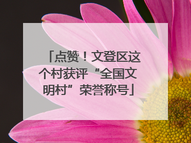 点赞！文登区这个村获评“全国文明村”荣誉称号