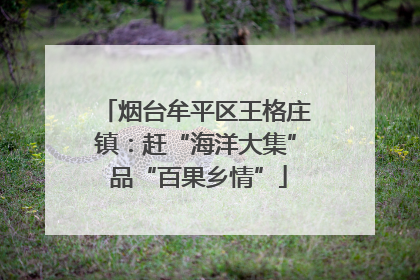 烟台牟平区王格庄镇：赶“海洋大集” 品“百果乡情”
