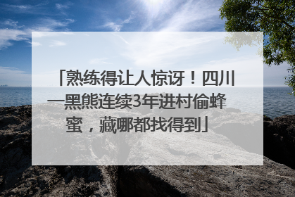 熟练得让人惊讶！四川一黑熊连续3年进村偷蜂蜜，藏哪都找得到