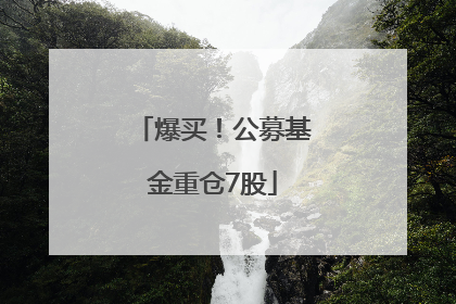 爆买！公募基金重仓7股