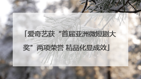 爱奇艺获“首届亚洲微短剧大奖”两项荣誉 精品化显成效