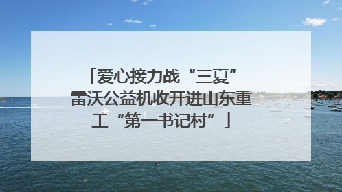爱心接力战“三夏” 雷沃公益机收开进山东重工“第一书记村”