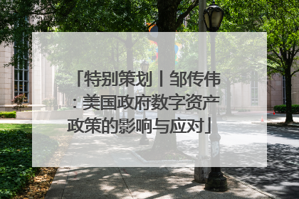 特别策划丨邹传伟：美国政府数字资产政策的影响与应对
