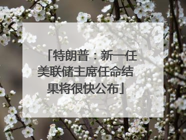 特朗普：新一任美联储主席任命结果将很快公布