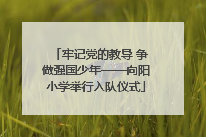 牢记党的教导 争做强国少年——向阳小学举行入队仪式