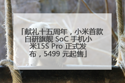 献礼十五周年，小米首款自研旗舰 SoC 手机小米15S Pro 正式发布，5499 元起售