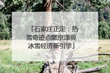 石家庄正定：热雪奇迹点燃京津冀冰雪经济新引擎