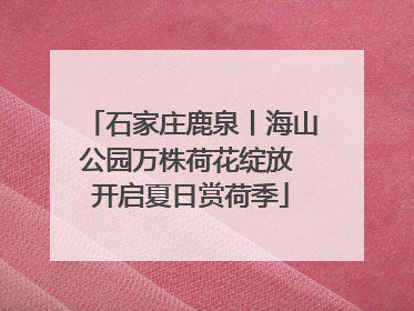 石家庄鹿泉丨海山公园万株荷花绽放 开启夏日赏荷季