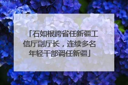 石如根跨省任新疆工信厅副厅长，连续多名年轻干部调任新疆