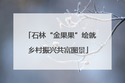 石林“金果果”绘就乡村振兴共富图景