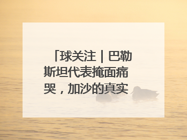 球关注｜巴勒斯坦代表掩面痛哭，加沙的真实现状让人痛心