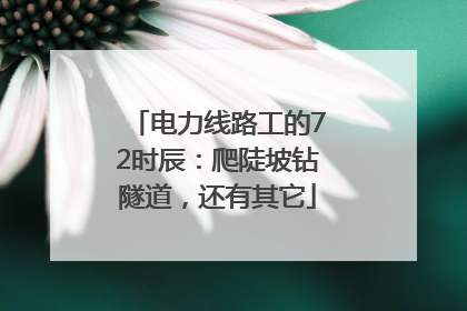 电力线路工的72时辰：爬陡坡钻隧道，还有其它