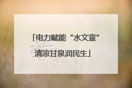 电力赋能“水文章” 清凉甘泉润民生