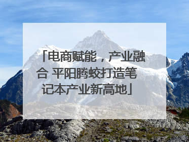 电商赋能,产业融合 平阳腾蛟打造笔记本产业新高地