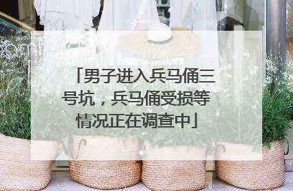男子进入兵马俑三号坑，兵马俑受损等情况正在调查中