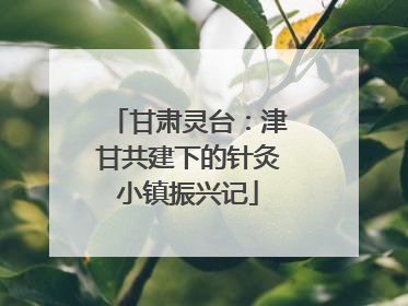 甘肃灵台：津甘共建下的针灸小镇振兴记