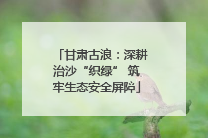 甘肃古浪：深耕治沙“织绿” 筑牢生态安全屏障