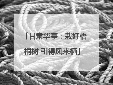 甘肃华亭：栽好梧桐树 引得凤来栖