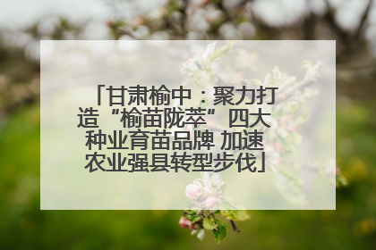 甘肃榆中：聚力打造“榆苗陇萃”四大种业育苗品牌 加速农业强县转型步伐
