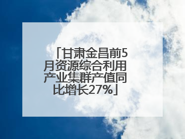 甘肃金昌前5月资源综合利用产业集群产值同比增长27%