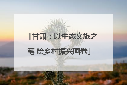 甘肃：以生态文旅之笔 绘乡村振兴画卷