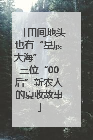 田间地头也有“星辰大海”——三位“00后”新农人的夏收故事