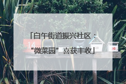 白午街道振兴社区：“微菜园”喜获丰收