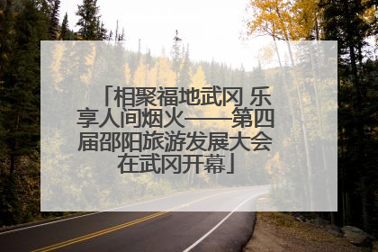 相聚福地武冈 乐享人间烟火——第四届邵阳旅游发展大会在武冈开幕