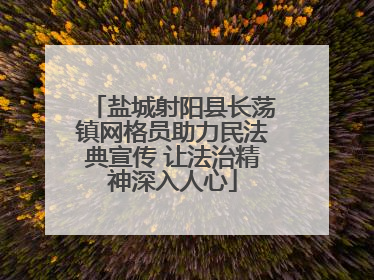 盐城射阳县长荡镇网格员助力民法典宣传 让法治精神深入人心