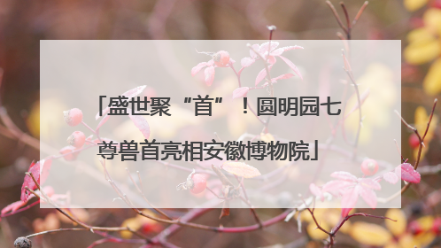盛世聚“首”！圆明园七尊兽首亮相安徽博物院