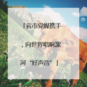 省市党媒携手，向世界唱响漯河“好声音”