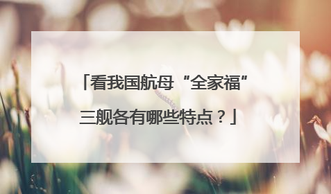 看我国航母“全家福” 三舰各有哪些特点？