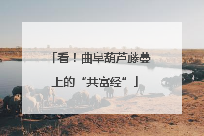 看！曲阜葫芦藤蔓上的“共富经”