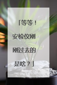 等等！安检仪刚刚过去的是啥？
