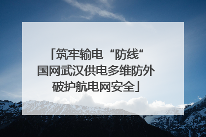 筑牢输电“防线” 国网武汉供电多维防外破护航电网安全