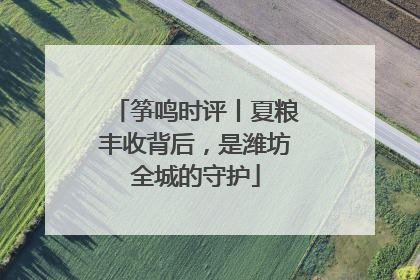 筝鸣时评丨夏粮丰收背后，是潍坊全城的守护
