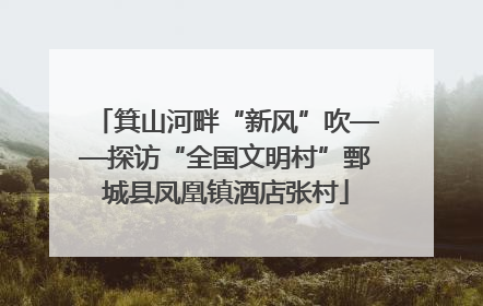 箕山河畔“新风”吹——探访“全国文明村”鄄城县凤凰镇酒店张村