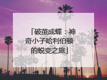 破茧成蝶：神奇小子哈利伯顿的蜕变之旅