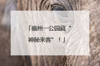 福州一公园藏“神秘来客”！