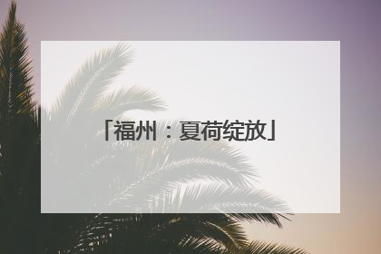福州：夏荷绽放